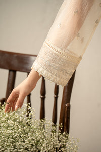 EMBROIDERED ORGANZA STITCHED 3 PIECE SUIT