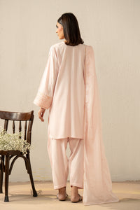 EMBROIDERED RAW SILK STITCHED 3 PIECE SUIT