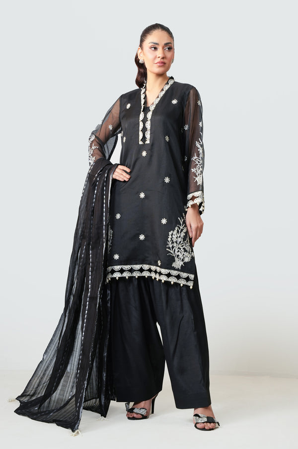 3 Piece Embroidered Rajjo Net Suit