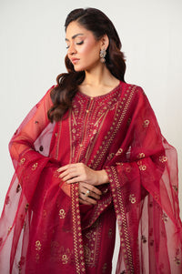 3 Piece Embroidered Rajjo Net Suit