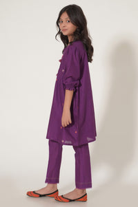 Stitched 2 Piece Embroidered Cotton Neps Suit