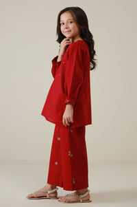 Stitched 2 Piece Embroidered Khaddar Suit