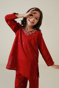 Stitched 2 Piece Embroidered Khaddar Suit
