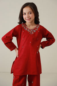 Stitched 2 Piece Embroidered Khaddar Suit
