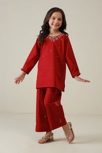 Stitched 2 Piece Embroidered Khaddar Suit