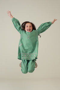Stitched 2 Piece Embroidered Khaddar Suit