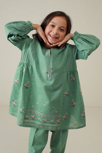 Stitched 2 Piece Embroidered Khaddar Suit