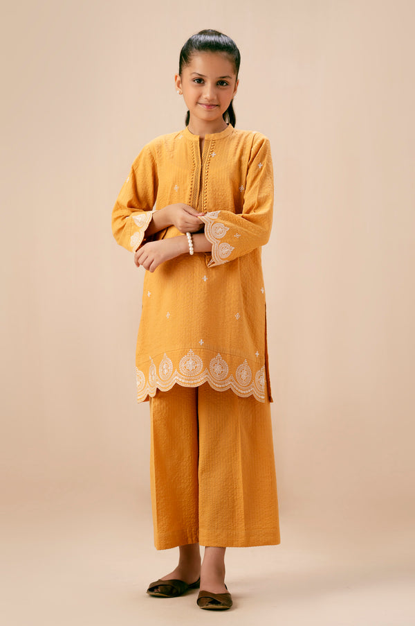 Stitched 2 Piece Embroidered Ripple Crinkle Suit