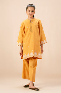 Stitched 2 Piece Embroidered Ripple Crinkle Suit