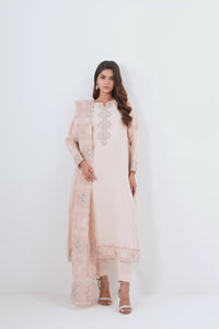 EMBROIDERED SUIT