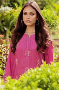 Stitched 1 Piece Embroidered Doria Lawn Shirt