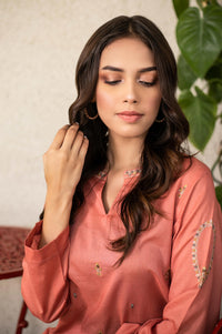 Stitched 1 Piece Embroidered Shirt