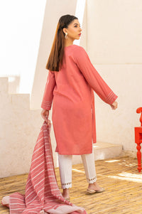 Stitched 2 Piece Embroidered Cotton Slub & Yarn Dyed Suit