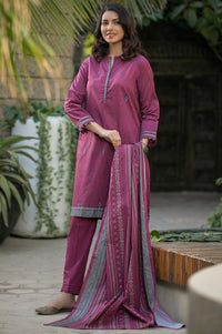 Stitched 2 Piece Embroidered Cambric Suit