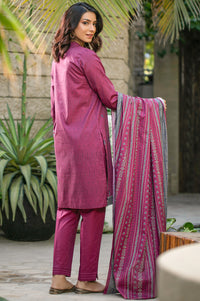 Stitched 2 Piece Embroidered Cambric Suit