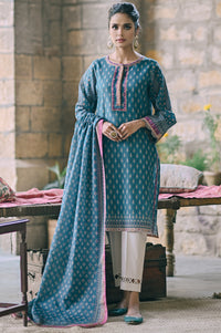 Stitched 2 Piece Printed Karandi Suit