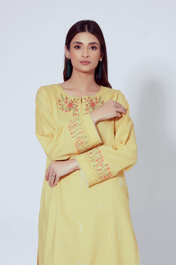 Stitched 2 Piece Embroidered Cambric Suit