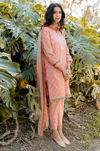 Unstitched 3 Piece Embroidered Lawn Suit