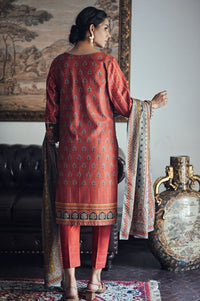 Stitched 3 Piece Printed Karandi Suit