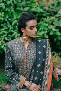 Stitched 3 Piece Printed Linen Viscose Suit