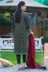 Stitched 3 Piece Printed Lawn Suit