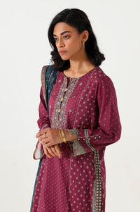 Stitched 3 Piece Embroidered Lawn with Checkered Organza Suit