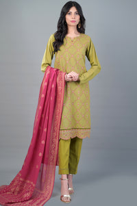 Stitched 3 Piece Embroidered Khaddar Suit