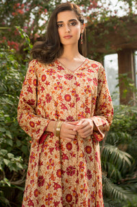Stitched 1 Piece Printed Lawn Shirt