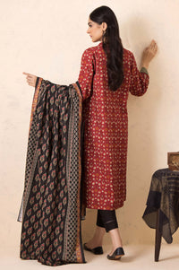 Stitched 2 Piece Embroidered Khaddar Suit