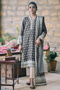 Stitched 2 Piece Printed Karandi Suit