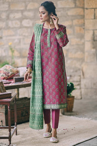 Stitched 2 Piece Printed Karandi Suit