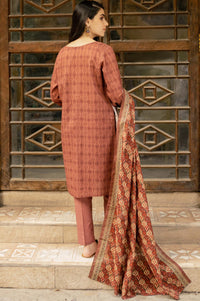 Stitched 3 Piece Printed Khaddar Suit