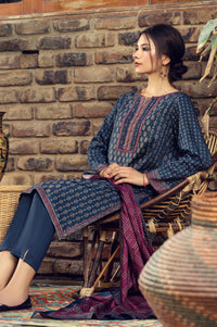 Stitched 3 Piece Printed Cottel Suit