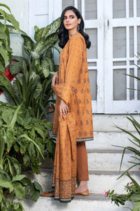 Stitched 3 Piece Printed Karandi Suit