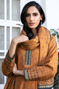 Stitched 3 Piece Printed Karandi Suit