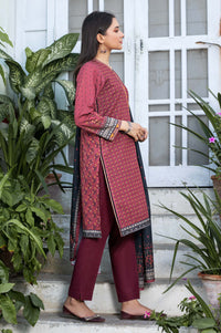 Stitched 3 Piece Printed Karandi Suit