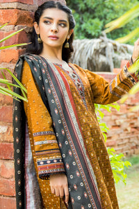 Stitched 3 Piece Printed Khaddar Suit