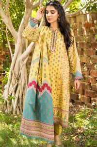 Stitched 3 Piece Printed Karandi Suit