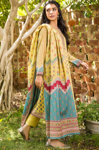 Stitched 3 Piece Printed Karandi Suit