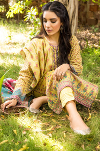 Stitched 3 Piece Printed Karandi Suit