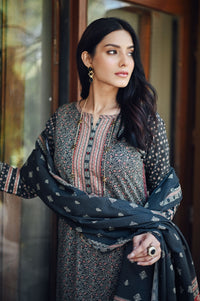 Stitched 3 Piece Printed Karandi Suit