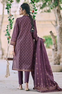 Stitched 3 Piece Printed Karandi Suit