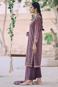 Stitched 3 Piece Printed Karandi Suit
