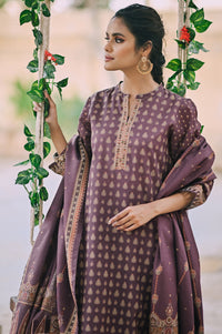 Stitched 3 Piece Printed Karandi Suit