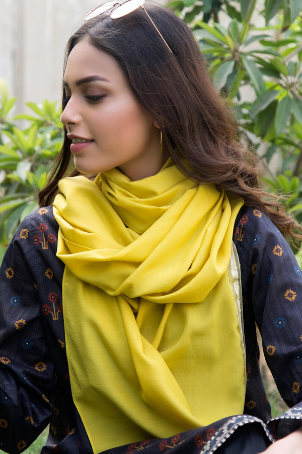 Silky Lace Trimmed Scarf