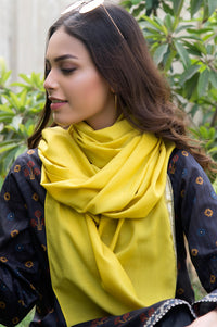 Silky Lace Trimmed Scarf