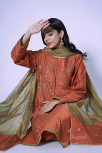 Stitched 3 Piece Cotton Net Embroidered Outfit