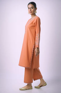 Stitched 2 Piece Embroidered Cambric Suit