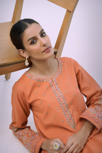 Stitched 2 Piece Embroidered Cambric Suit