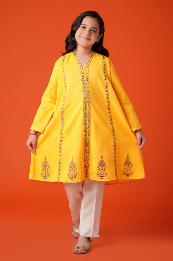 Stitched 1 Piece Embroidered Khaddar Shirt